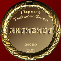 медаль активиста