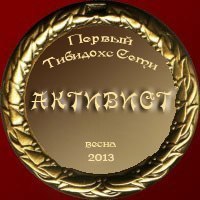 медаль активиста