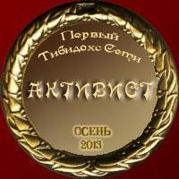 медаль активиста