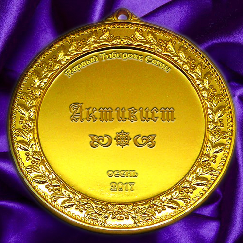 медаль активиста