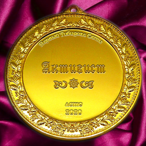 медаль активиста