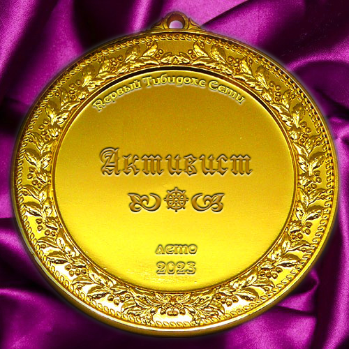 медаль активиста