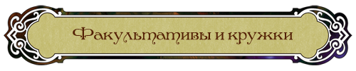 Факультативы и кружки