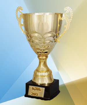 кубок школы